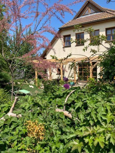 Ferienwohnung Stockrose Middelhagen Εξωτερικό φωτογραφία